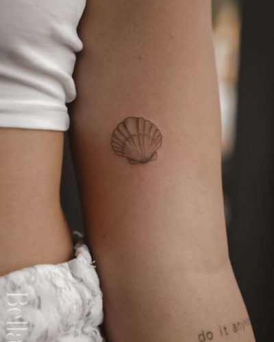 Sea Shell(Web)
